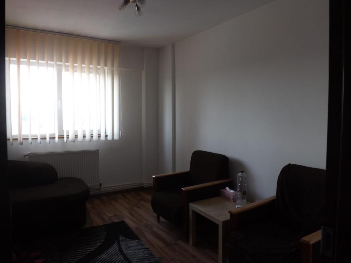 Ferienwohnung Mountain View Campulung Exterior foto